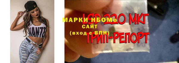 крисы Балахна